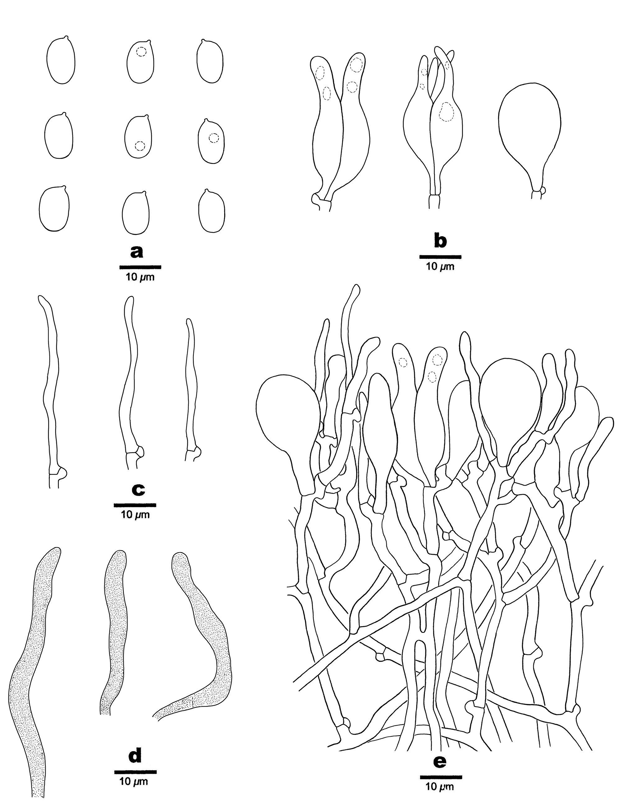 Figure 41